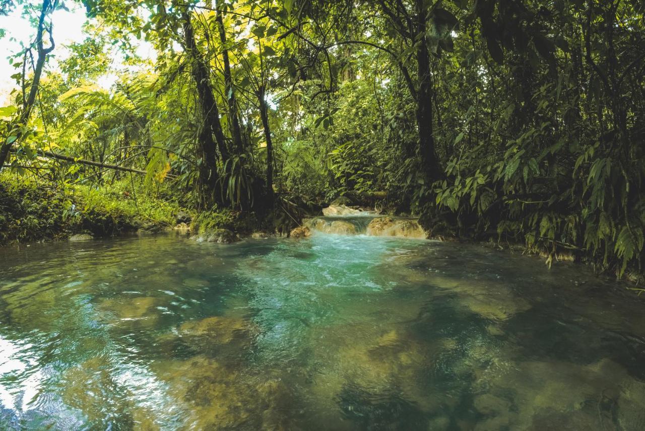 Oski Lodge, Rain Forest Rincon De La Vieja Upala Buitenkant foto