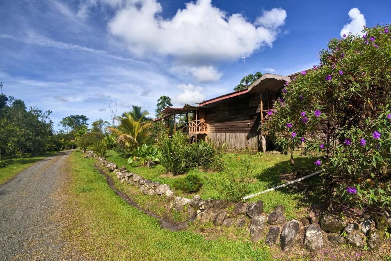 Oski Lodge, Rain Forest Rincon De La Vieja Upala Buitenkant foto