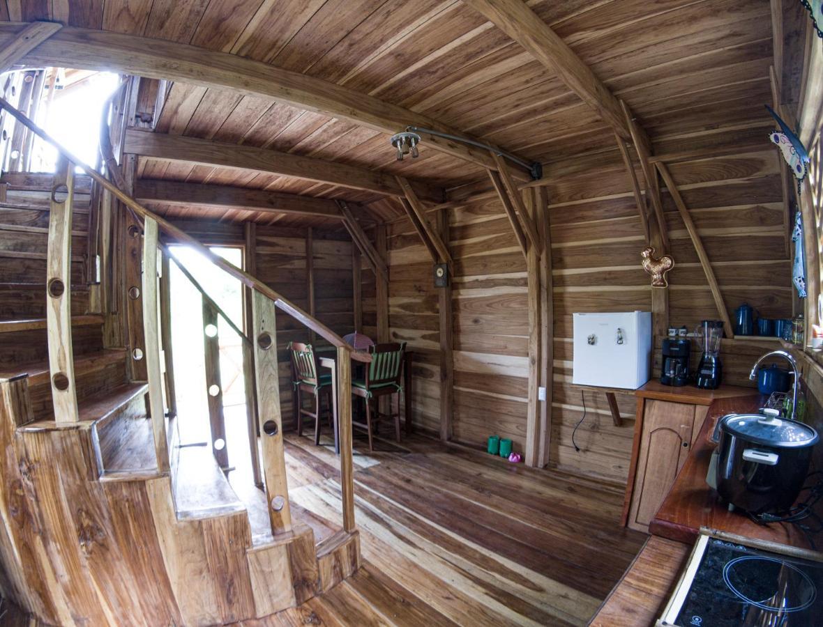 Oski Lodge, Rain Forest Rincon De La Vieja Upala Buitenkant foto